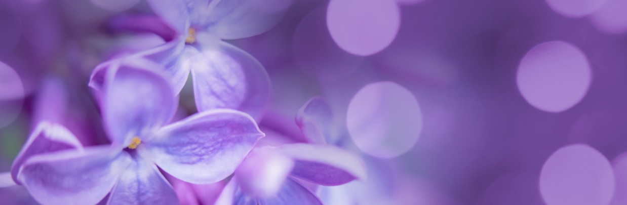 Humankindness in Action Award -Nomination