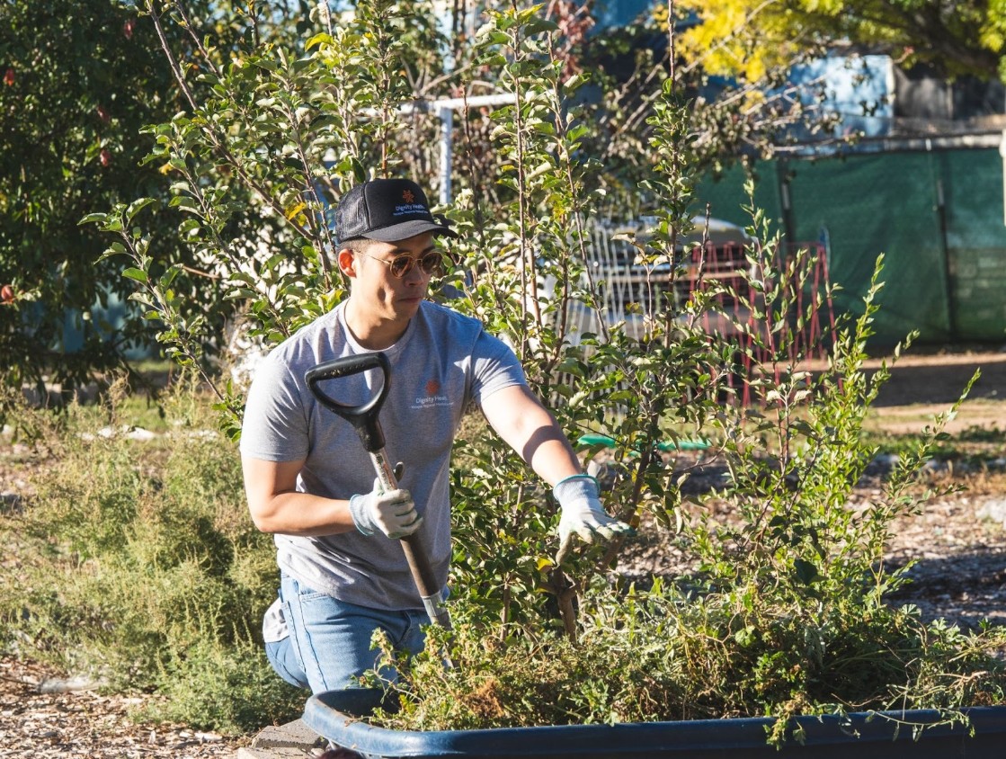 YRMC employees and their families volunteered at the Prescott Food Forest’s B Organic Farm in Chino Valley