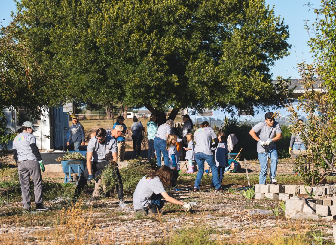 YRMC employees and their families volunteered at the Prescott Food Forest’s B Organic Farm in Chino Valley