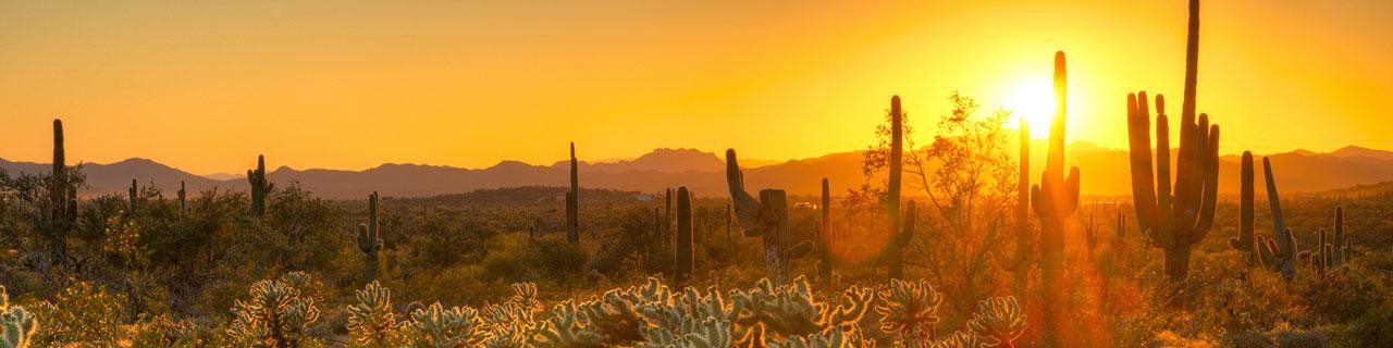 Arizona desert