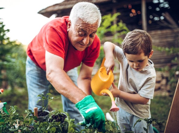 Grandpa and Grandson gardening