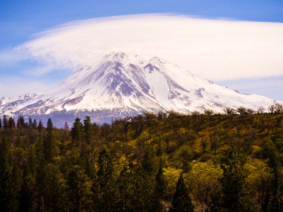 Mt. Shasta